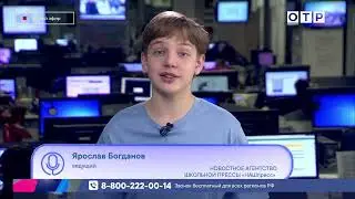 Соня волкова