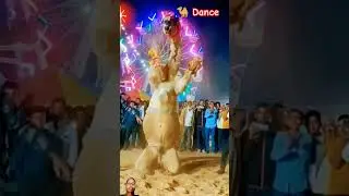 🐪 Camel Dance 2025 | animal dance 2025 | New dance studio #danceland#pskarahriya#waltzer#camel#2025