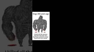 Memes from Reddit and Internet #46 #meme #memes #reddit #funny #funnyshorts #funnymemes