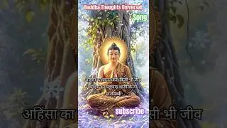 Buddha Thoughts Universal #motivation #love #shorts feed #song #teachings #peace #बुद्ध की शिक्षाएं