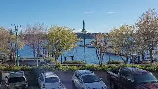 Float plane takeoff#plane#harbour#canada#ocean#flight