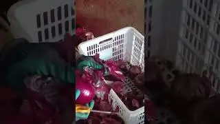 How to Remove Onion Peel Fast? Watch This Air-Blow Method in Action!