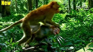 Oh No! Logan Was So T-errible, He Jumped And Hur-t Poor Abandoned Dory While She Was Sl=eeping.