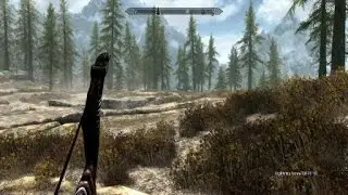 Skyrim: Hell of a shot