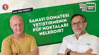 Cem İnce İle Tarımda Bu Ay: Sanayi Domatesi Yetiştiriciliğinde P&uuml;f Noktalar