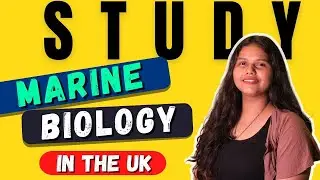 Pursue Your Passion for the Oceans with an MSc in Marine Biology in UK #studyinuk #marinebiology