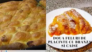 Doua retete de placinte cu branza si caise. Aluat cu lapte fara oua.