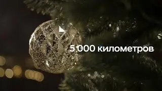 Hyundai Mobility. Тариф Travel. 5 000 километров