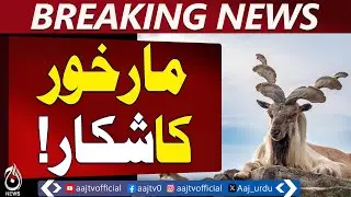 Skardu Trophy Hunting Success | Legal Markhor Hunt | Community Benefits &ndash; Aaj Pakistan News