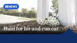 Police search for car that killed girl in hit-and-run north of Brisbane | ABC NEWS