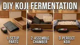 Perfect Koji Every Time: My Secret to Temperature Control