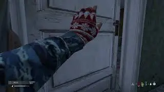 Fui cercado por uma matilha de lobo no DayZ