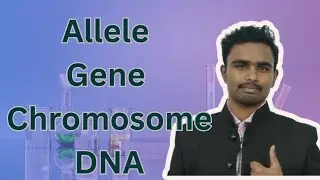 Allele vs Gene vs Chromosomes vs DNA #neet2026 #biology #genetics 