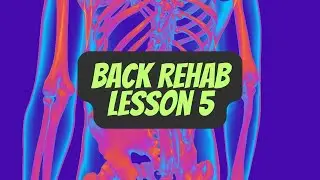 Back Rehab Lesson 5