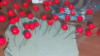 frutos rojos navideños???