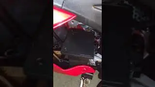 Red Fox Powersports 2019 200cc DFSST