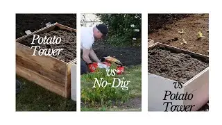 How to build a potato planter: EXPERIMENTING WITH POTATO TOWERS