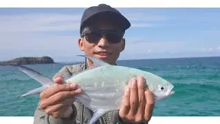 Bad day fishing at Fingal Head!!! OUTRAGEOUS!