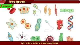 8th Science | Chapter#10 | Topic#01 | प्रस्तावना | Marathi Medium