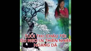 Nam Định cổ kybac kênh giải trí