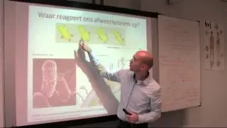 Ontstekingsreactie