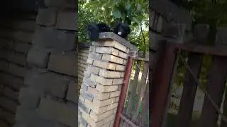 Bo&scaron;ko bleji na zidu ep. 2