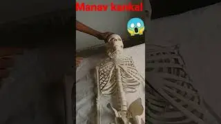 🦴human skeleton|bones| cartilage skeleton system 😱#ytshorts#कंकाल #yt #science #short #science