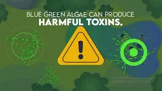 Blue Green Algae Warning