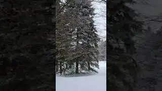 exploring nature in winter canada pt 4