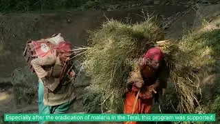 Brief history of internal migration in Nepal.