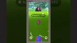 SHINY Roggenrola on Community Day in Pokemon Go!