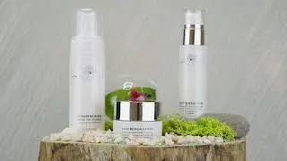 Adriana Stan Beauty - 1&deg; KIT Linea Viso