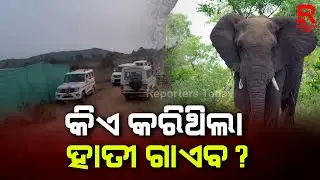 ମିଳିଲା ମୃତ ହାତୀର ଖଣ୍ଡ ବିଖଣ୍ଡିତ ଶରୀର || Elephant Hiding Case || Belghar Forest Range Of Baliguda