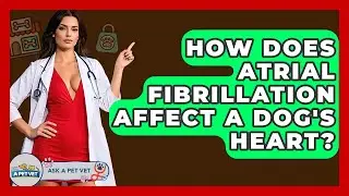 How Does Atrial Fibrillation Affect A Dog's Heart? - Ask A Pet Vet