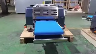 HONGLING Mini Dough Sheeter Machine | MDS-360T
