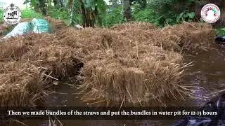 Successful Mushroom Cultivation | (ଛତୁ ଚାଷରୁ ରୋଜଗାର) | Odisha Livelihoods Mission