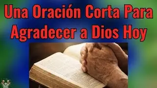 Oración para Agradecer las Bendiciones | Un Clamor del Corazón al Amanecer