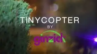 WORLDS SMALLEST RC QUAD by GINZICK - Flips 
