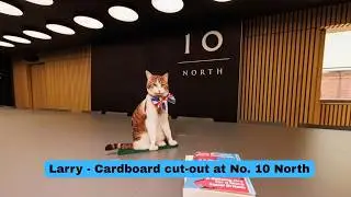Larry, The Downing Street Cat - Larry’s Doppelgänger! 😹