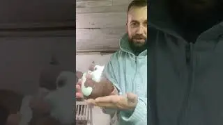 YARIN AKŞAM YİNE ÇOK KALİTELİ BİR CANLI YAYIN OLACAK TAKİP ETMENİZİ ÖNERİRİM KIYMETLİ ABİLERİM
