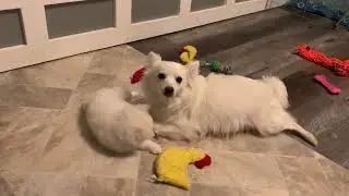 SuzyQ and Thea playing