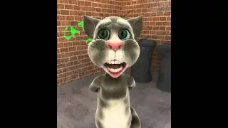 Talking Tom Happy Birthday Tracy