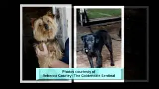 2012 Red Cross Real Heroes - Animal Rescue Hero Award