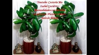 Manualidades con botellas de plástico. Planta Tronco o palo de Brasil