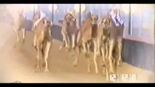 عيضة المنهالي - صياد الرموز