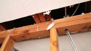 What is a Load Bearing Wall? - Load Bearing Wall Pros