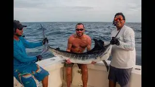 Cabo Billfish Charter: Catch And Release