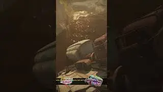 Fallout 76: What Did This Teddy Bear Order??