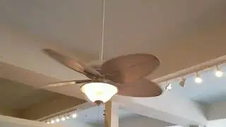Fanimation Belleria, Islander, and Edgewood ceiling fans at a lighting and furniture store