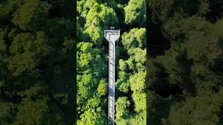 #australia #travel #nsw #australiatravel #nature #traveldestinations #feelnsw #exploreaustralia